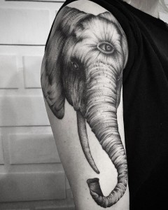 tatuaje_blackwork_elefante_ojo